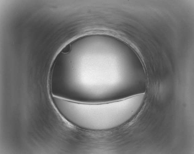 X0000074941533200609010932