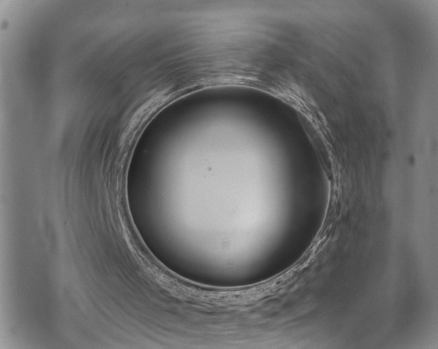 X0000074940001200609011127