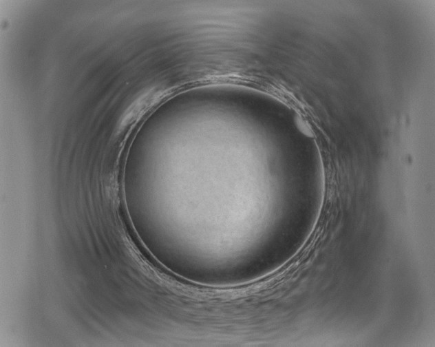 X0000074940002200609011127