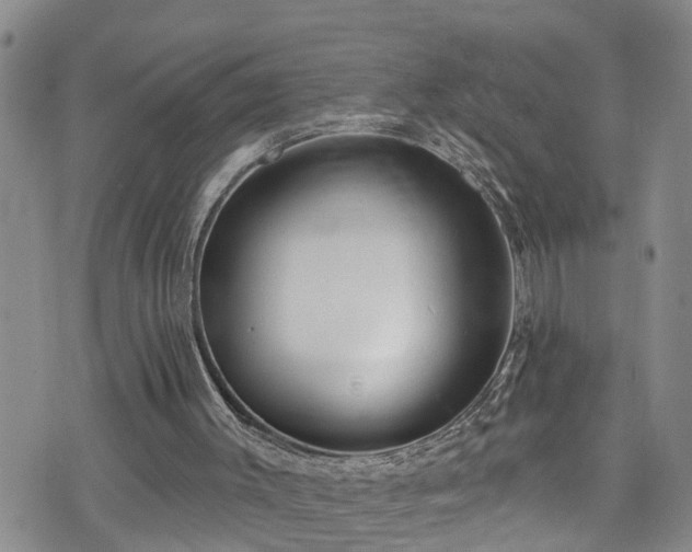 X0000074940003200609011127