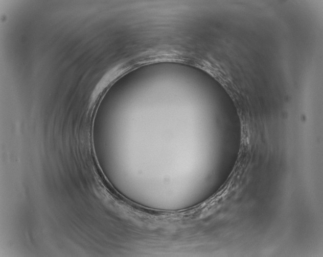 X0000074940004200609011127