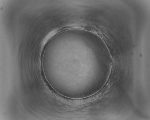 X0000074940006200609011127