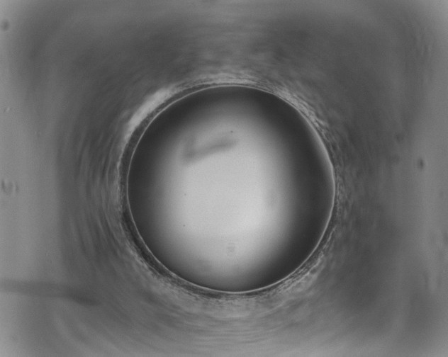 X0000074940008200609011127