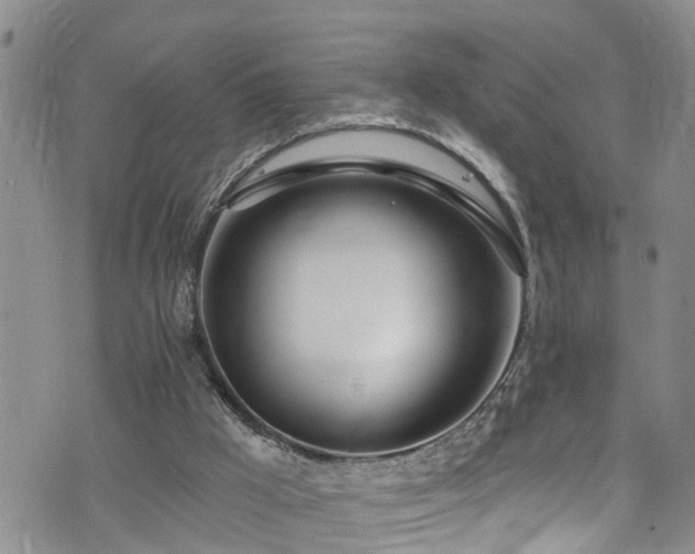 X0000074940009200609011127