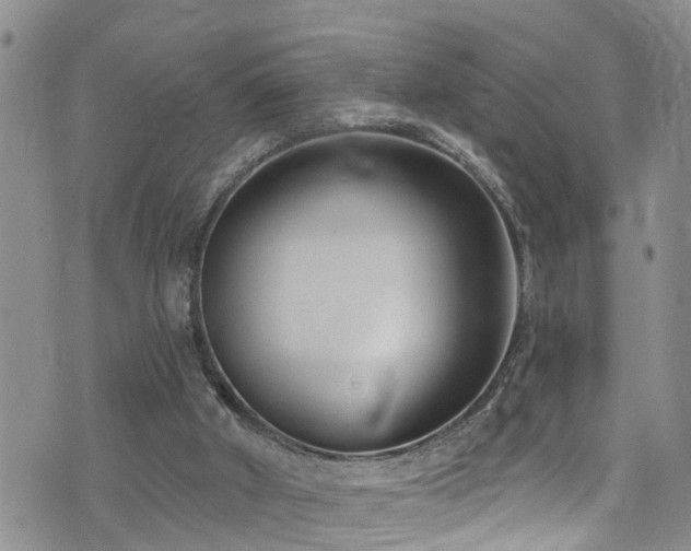 X0000074940010200609011127