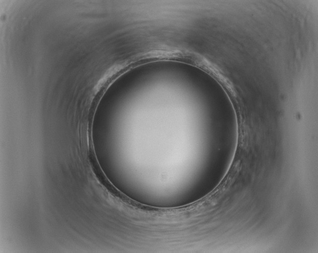 X0000074940011200609011127