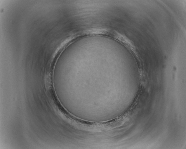 X0000074940012200609011127