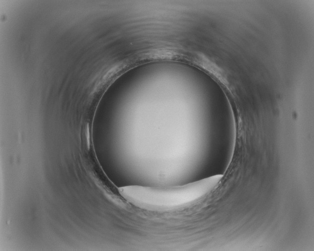 X0000074940013200609011127