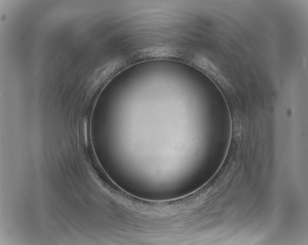 X0000074940014200609011127