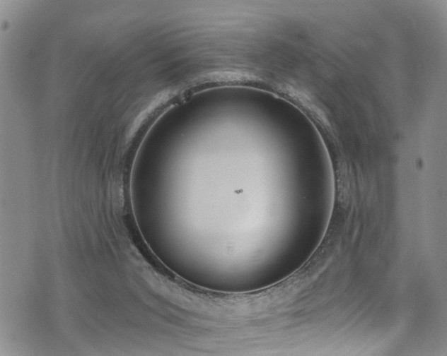 X0000074940015200609011127