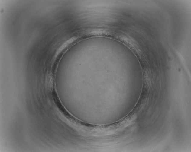 X0000074940016200609011127