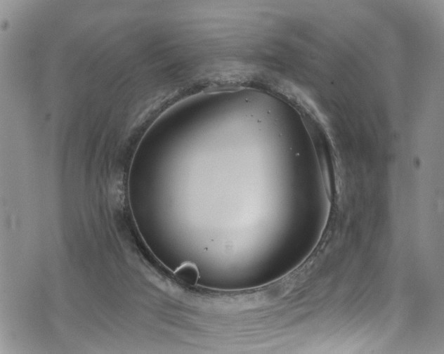 X0000074940017200609011127