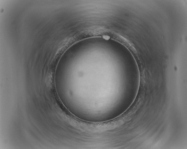 X0000074940018200609011127