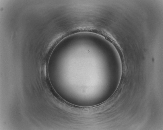 X0000074940019200609011127