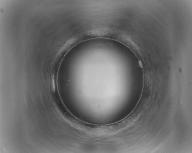 X0000074940020200609011127