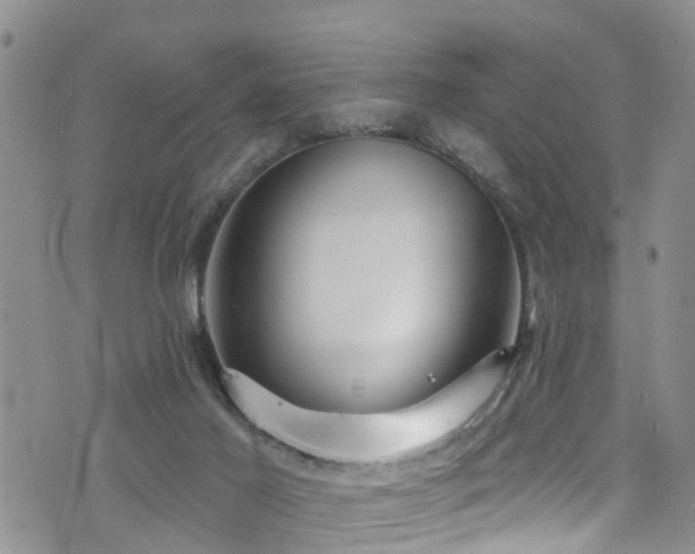 X0000074940021200609011127