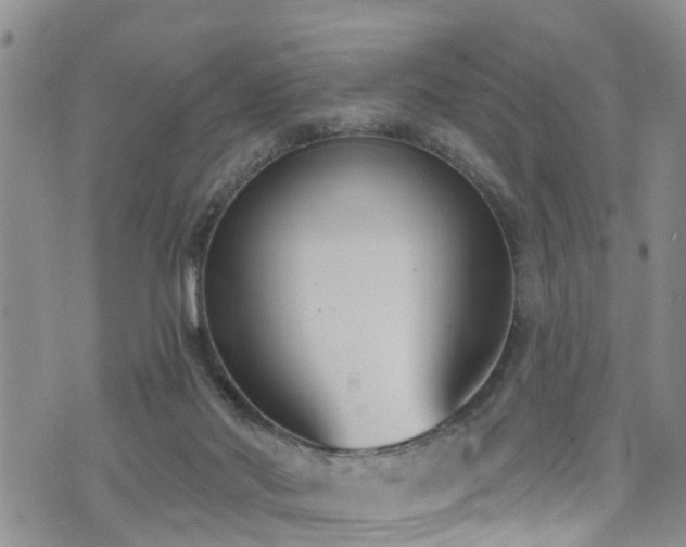 X0000074940022200609011127