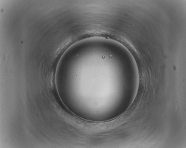 X0000074940023200609011127