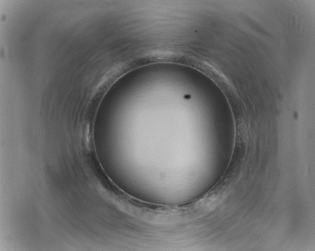 X0000074940024200609011127