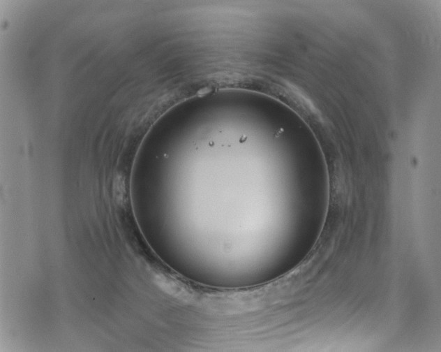 X0000074940025200609011127