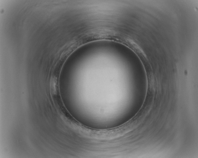 X0000074940026200609011127