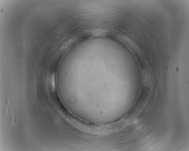 X0000074940028200609011127