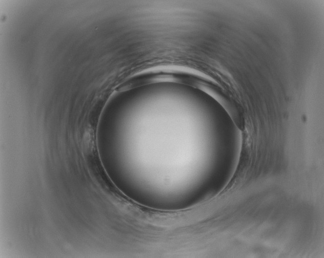 X0000074940029200609011127