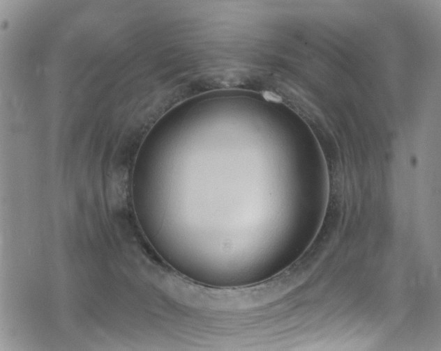 X0000074940030200609011127