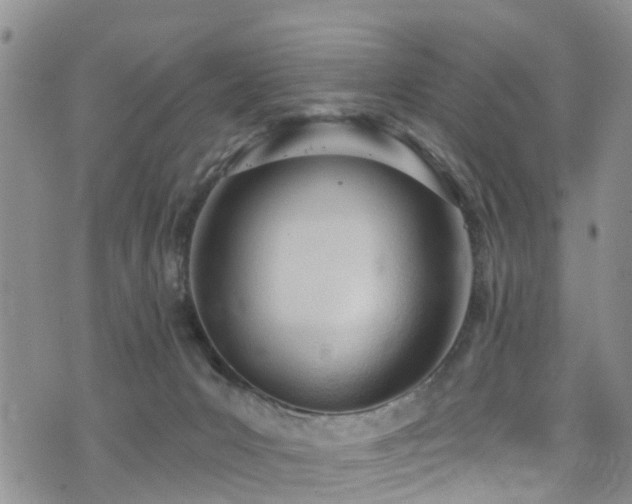 X0000074940031200609011127