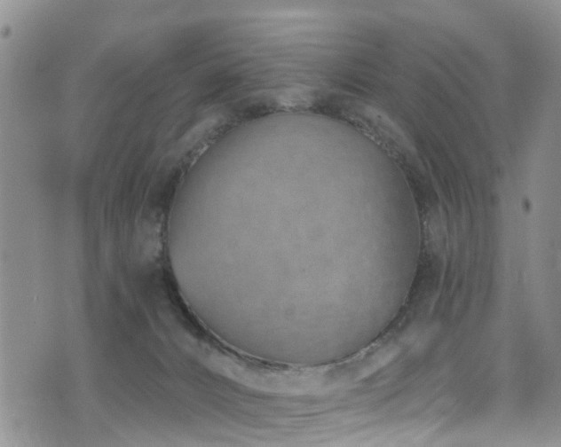 X0000074940032200609011127