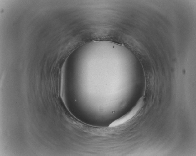 X0000074940033200609011127