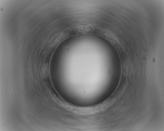 X0000074940034200609011127