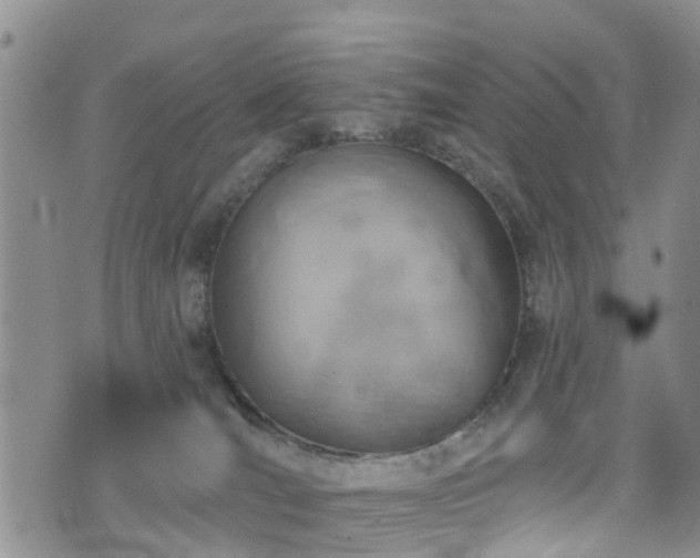 X0000074940036200609011127