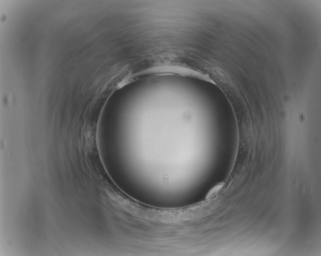 X0000074940037200609011127