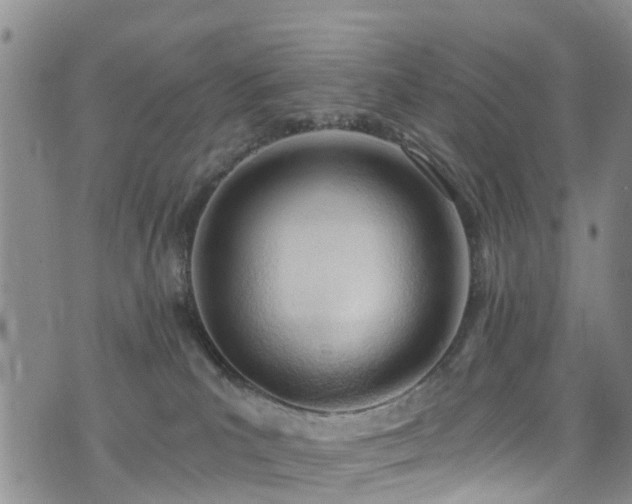 X0000074940039200609011127