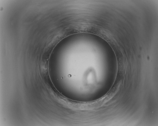 X0000074940040200609011127