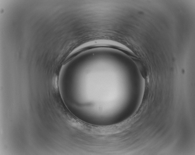 X0000074940041200609011127