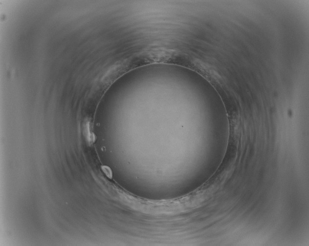 X0000074940042200609011127