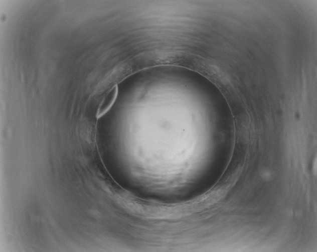 X0000074940044200609011127