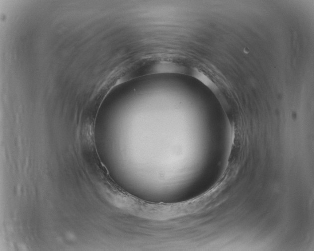 X0000074940045200609011127