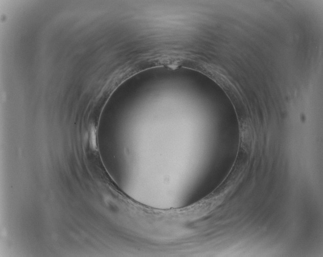 X0000074940046200609011127