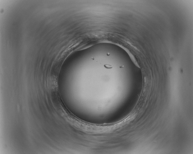 X0000074940048200609011127