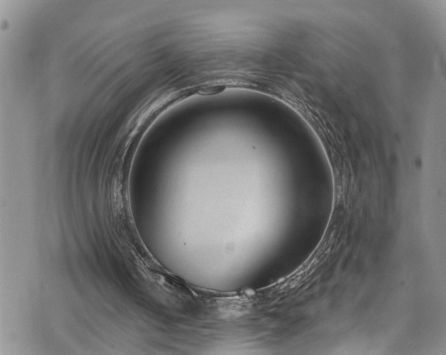 X0000074940050200609011126