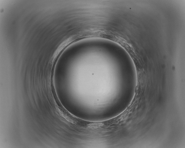 X0000074940051200609011126