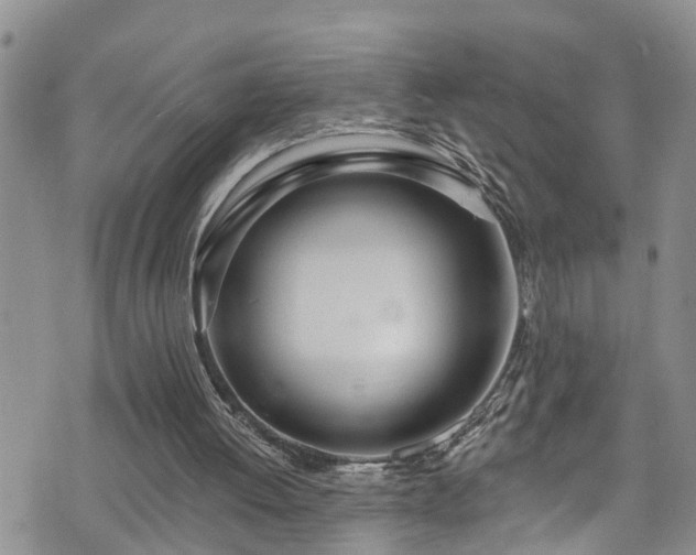 X0000074940052200609011126