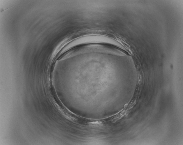 X0000074940053200609011126