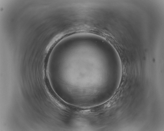 X0000074940054200609011126