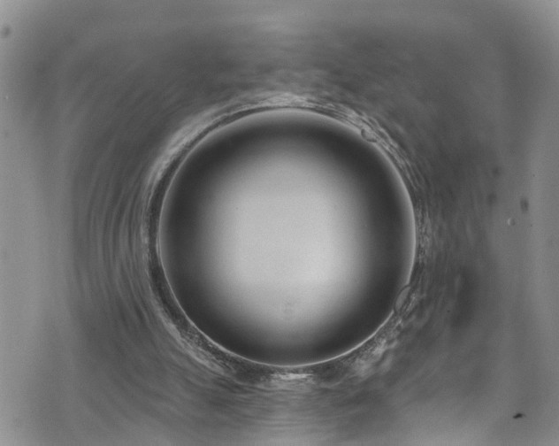 X0000074940055200609011126