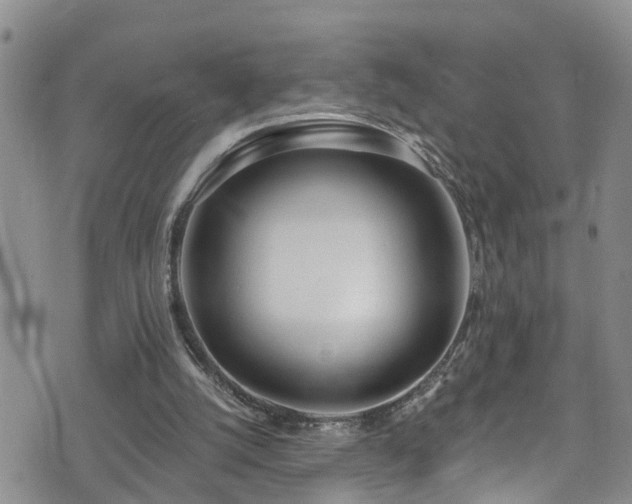 X0000074940056200609011126