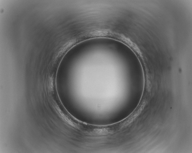 X0000074940057200609011126